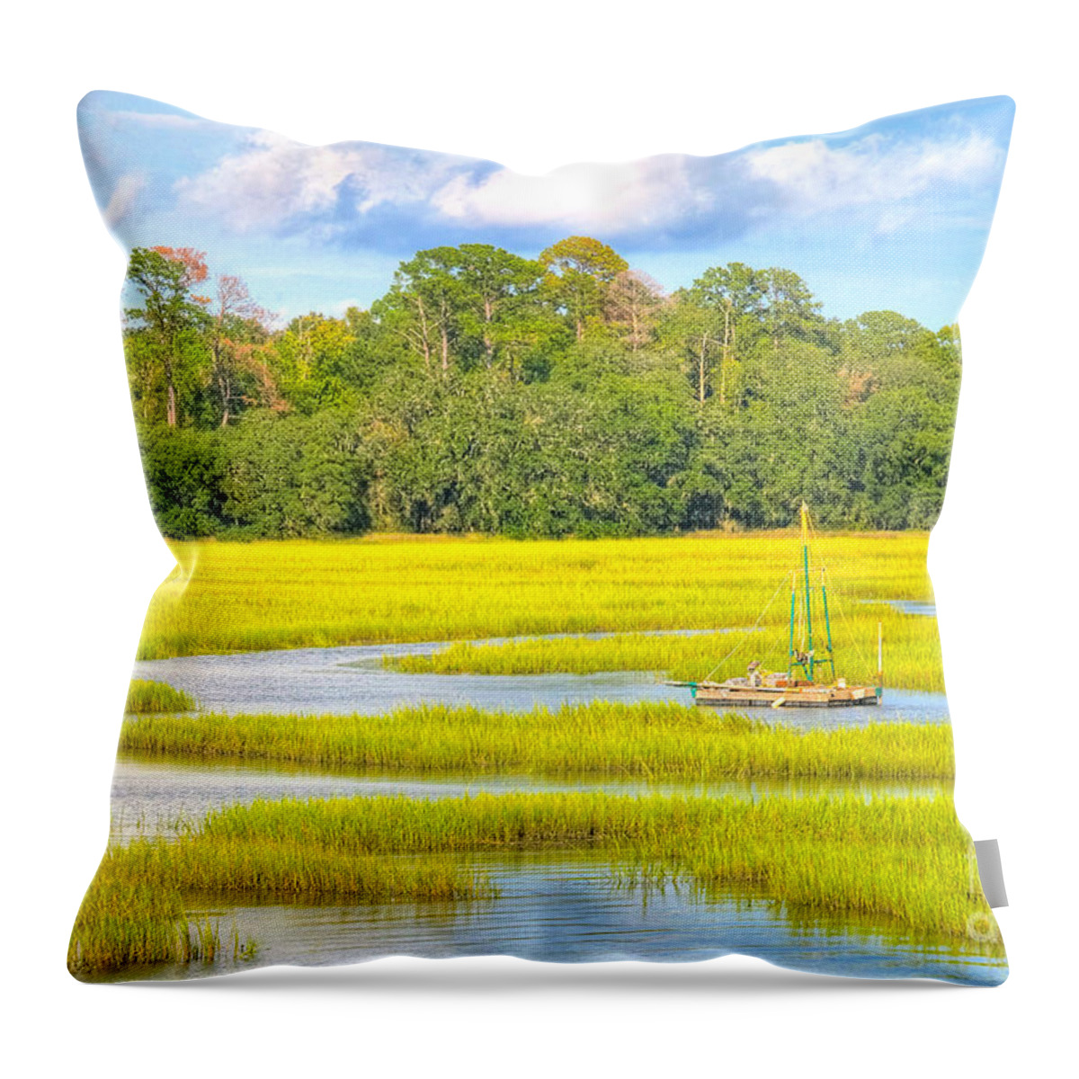 Marsh Throw Pillow featuring the photograph Tidal Castaway by Scott Hansen