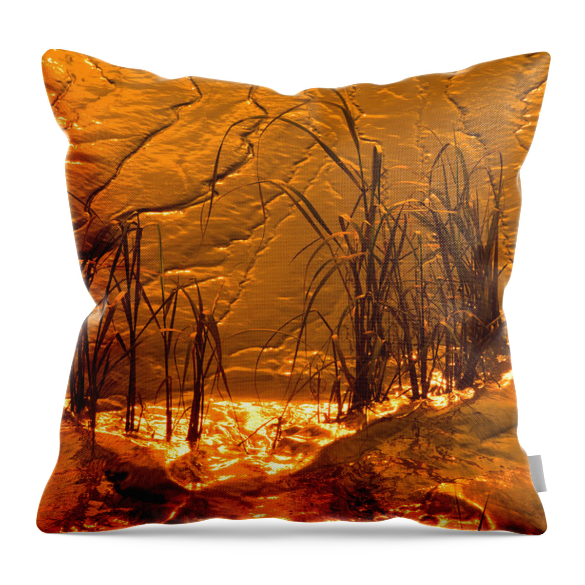 Abstract Throw Pillow featuring the photograph Tidal Mud Sundown by Irwin Barrett