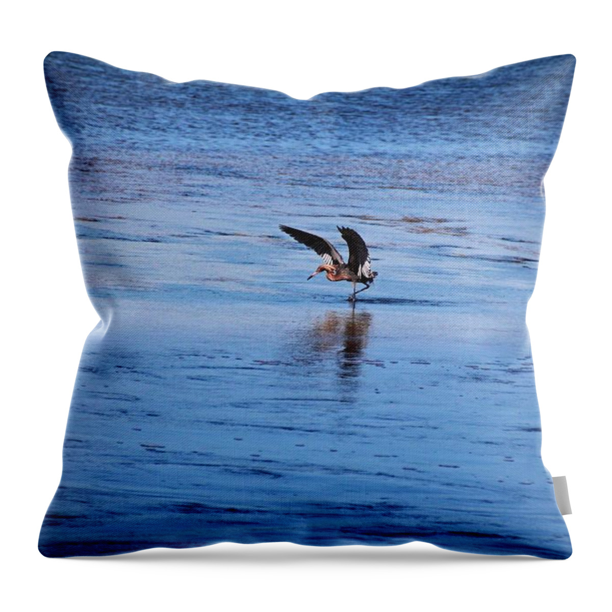Heron Throw Pillow featuring the photograph Tidal Toe Tappin by Michiale Schneider
