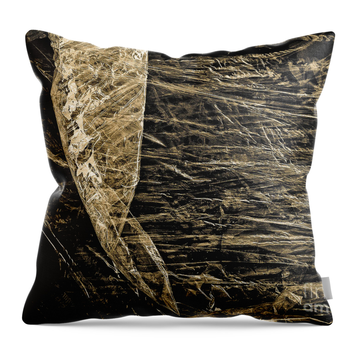 Abstract Throw Pillow featuring the photograph Tide in the Sunset by Fei A