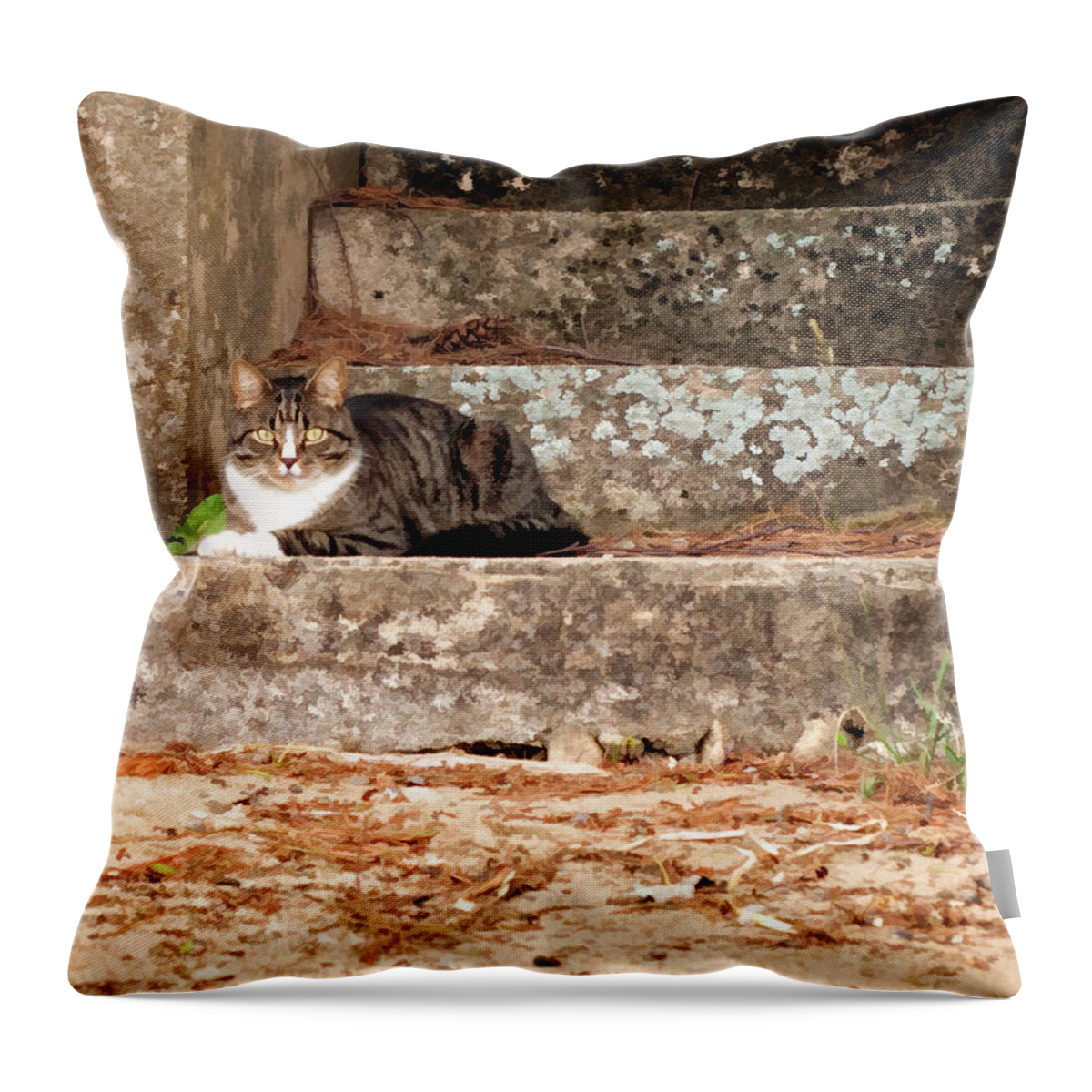 Animal Throw Pillow featuring the photograph Tiger Kitty on Stairs in watercolor by Donna Doherty