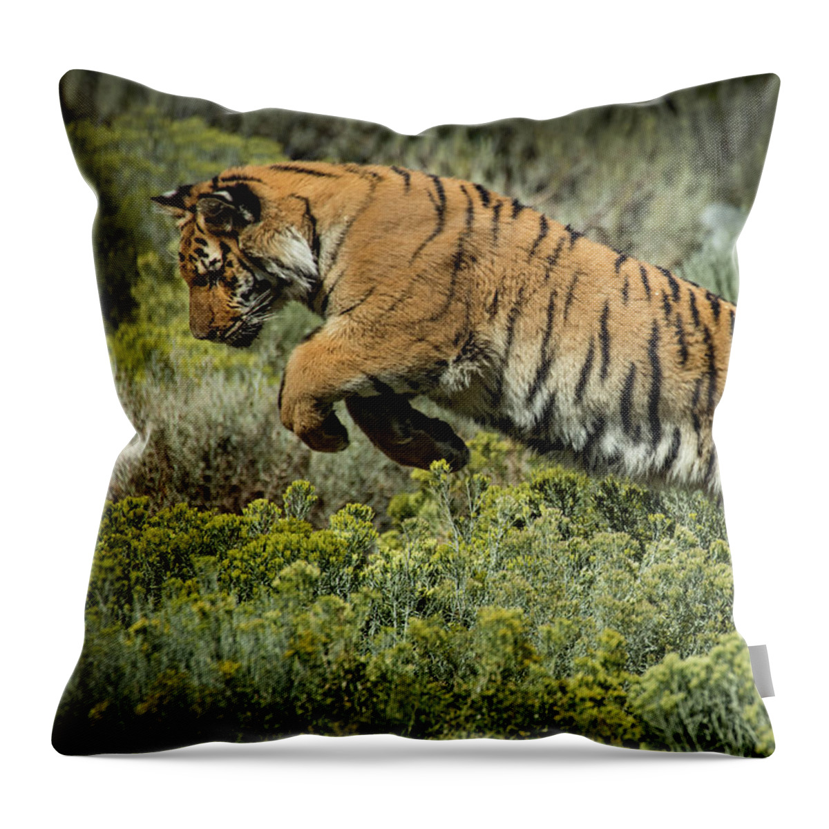 Tiger Throw Pillow featuring the photograph Tiger Lily Leeping by Janis Knight