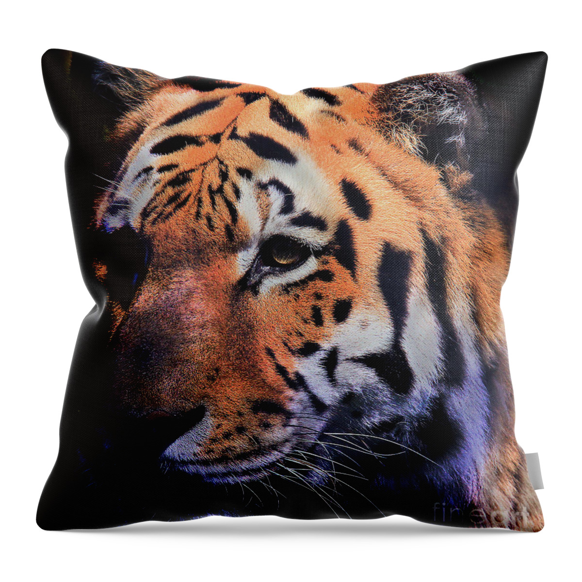 Tiger Throw Pillow featuring the photograph Tiger Portrait by Roger Becker