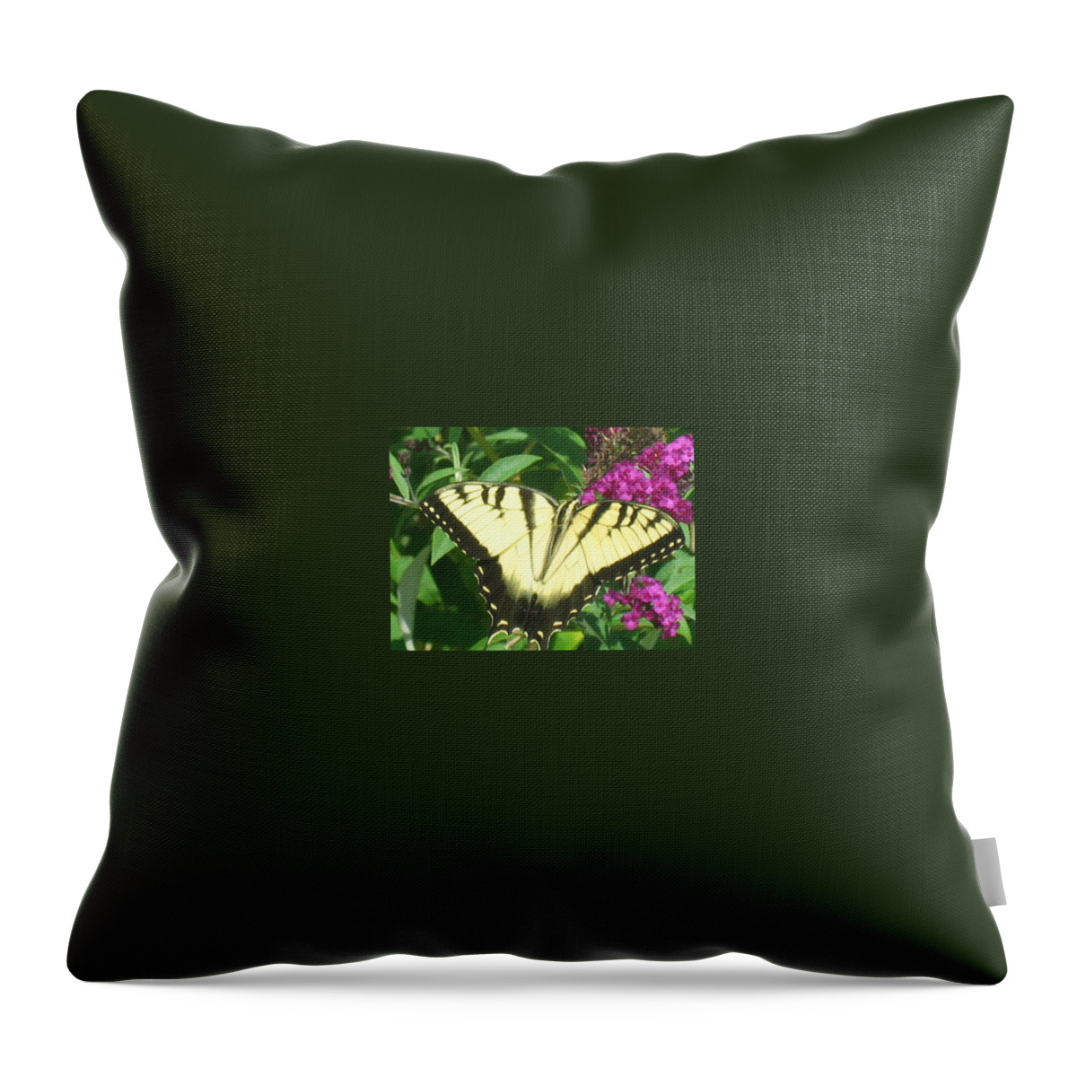 Butterfly Throw Pillow featuring the photograph Tiger Swallowtail by Belinda Stucki