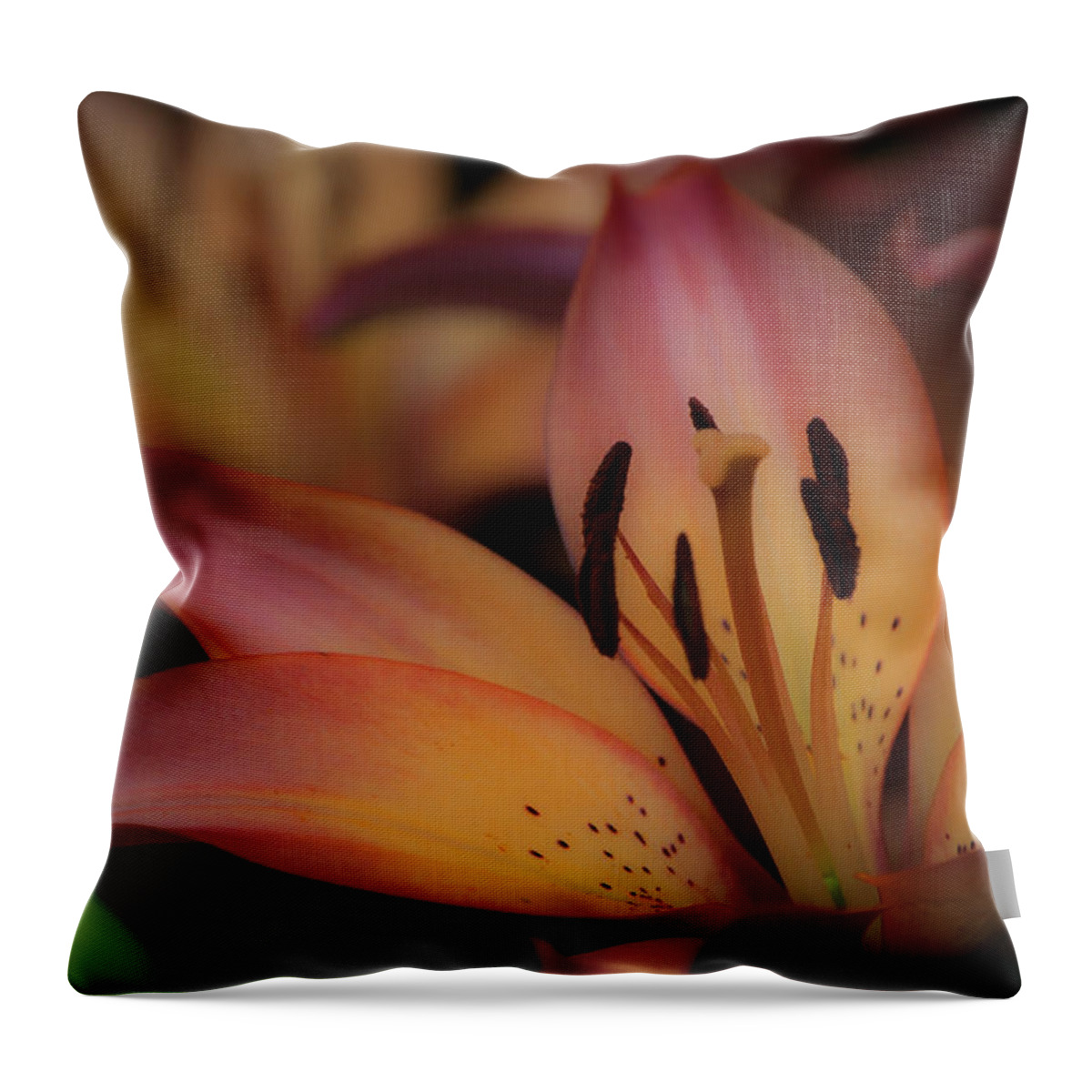 Tiger Lily Throw Pillow featuring the photograph Tigress by Trish Tritz