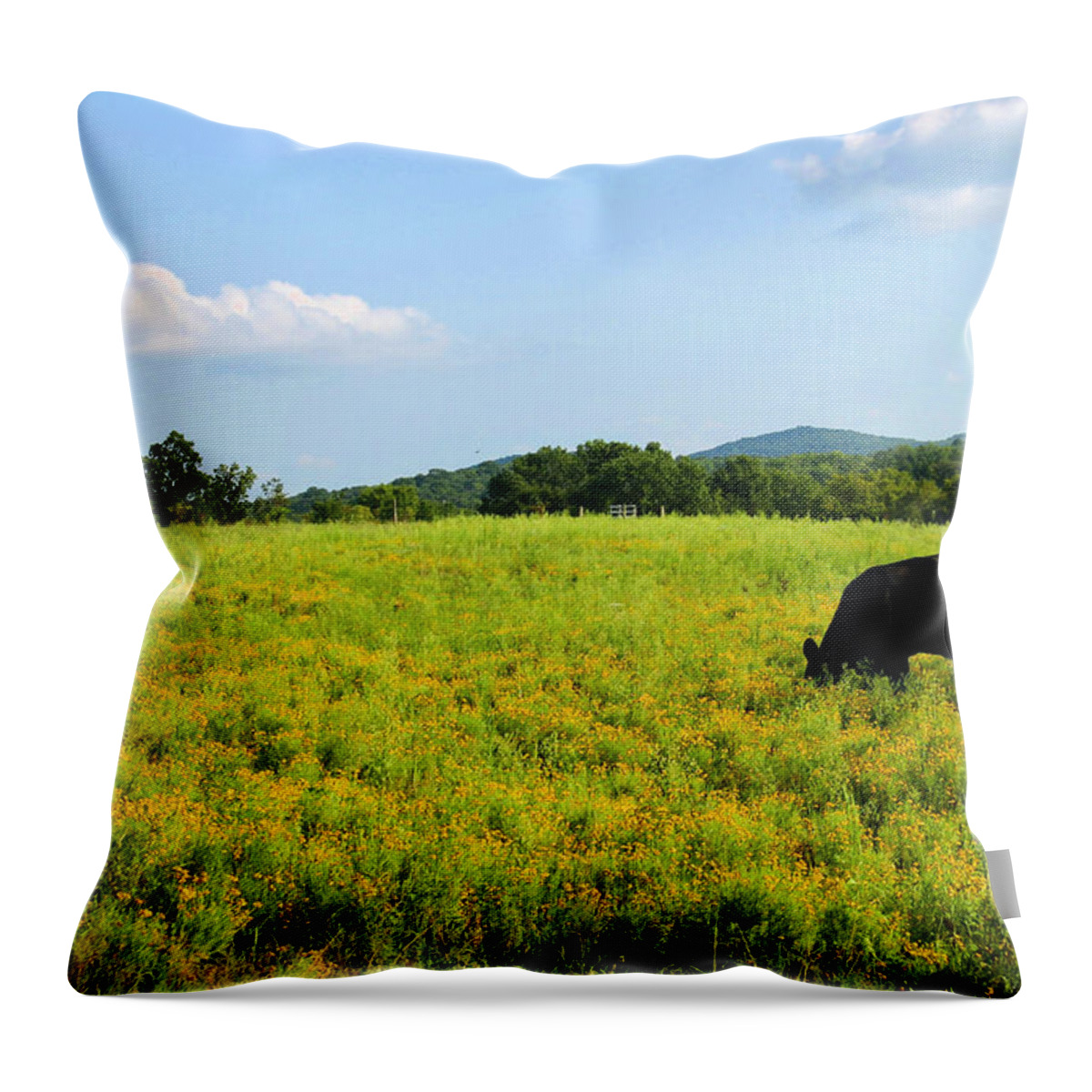 Cow Throw Pillow featuring the photograph Til the Cows Come Home by Kristin Elmquist