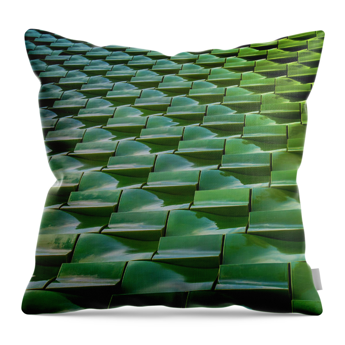 Tile Throw Pillow featuring the photograph Tile by Richard Goldman