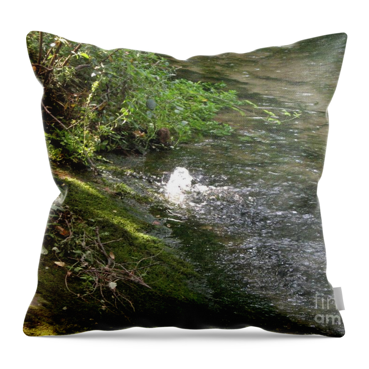 River Throw Pillow featuring the photograph Timava's spring I by Dragica Micki Fortuna