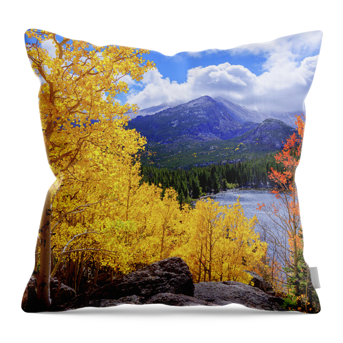 Time Throw Pillow featuring the photograph Time by Chad Dutson