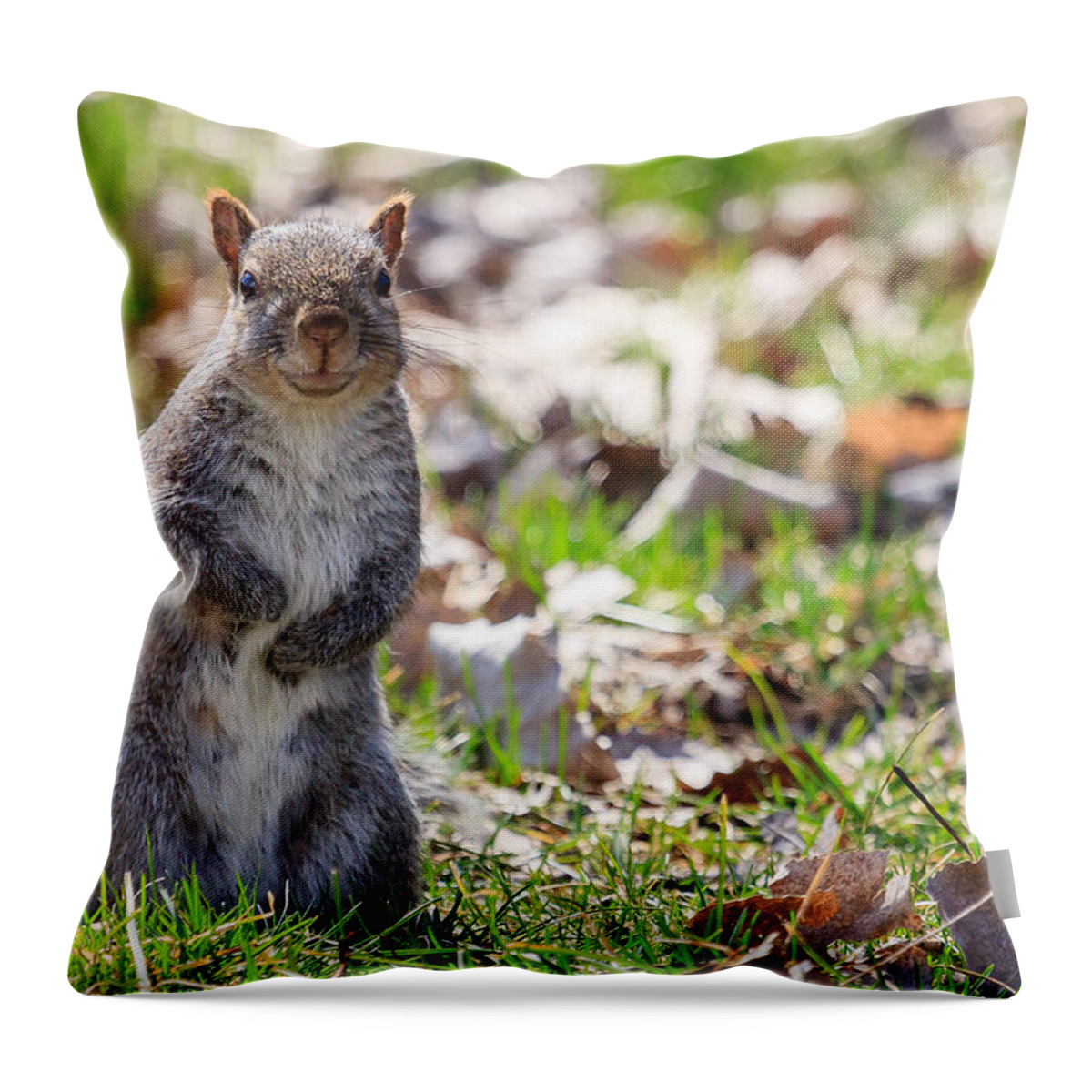 Animal Throw Pillow featuring the photograph Time for dinner? by Joni Eskridge