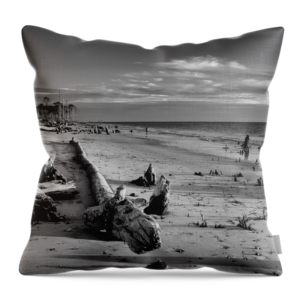 Driftwood Throw Pillow featuring the photograph Timess Florida Coast by Richard Leighton