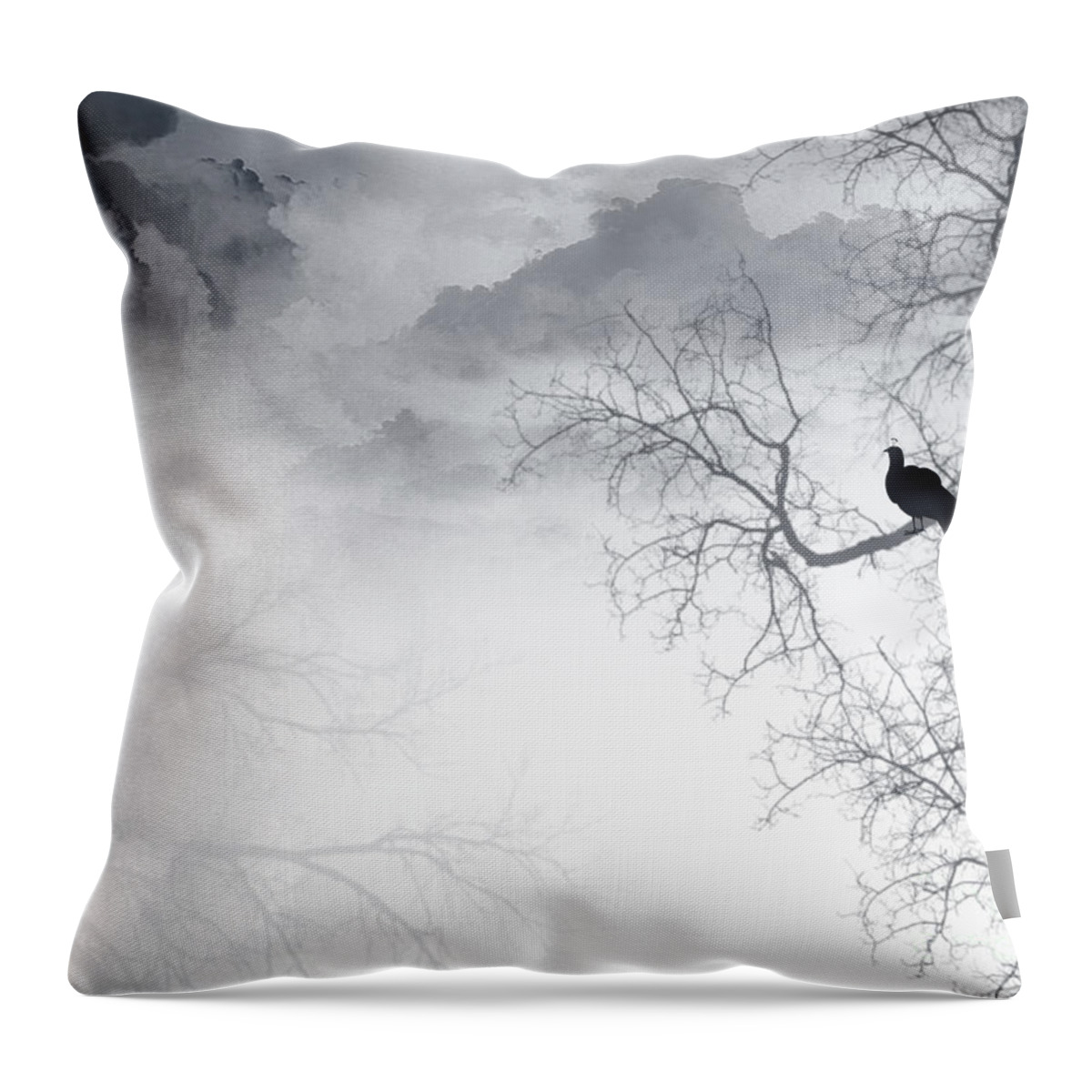 Peacock Throw Pillow featuring the digital art Timing is Everything by Trilby Cole