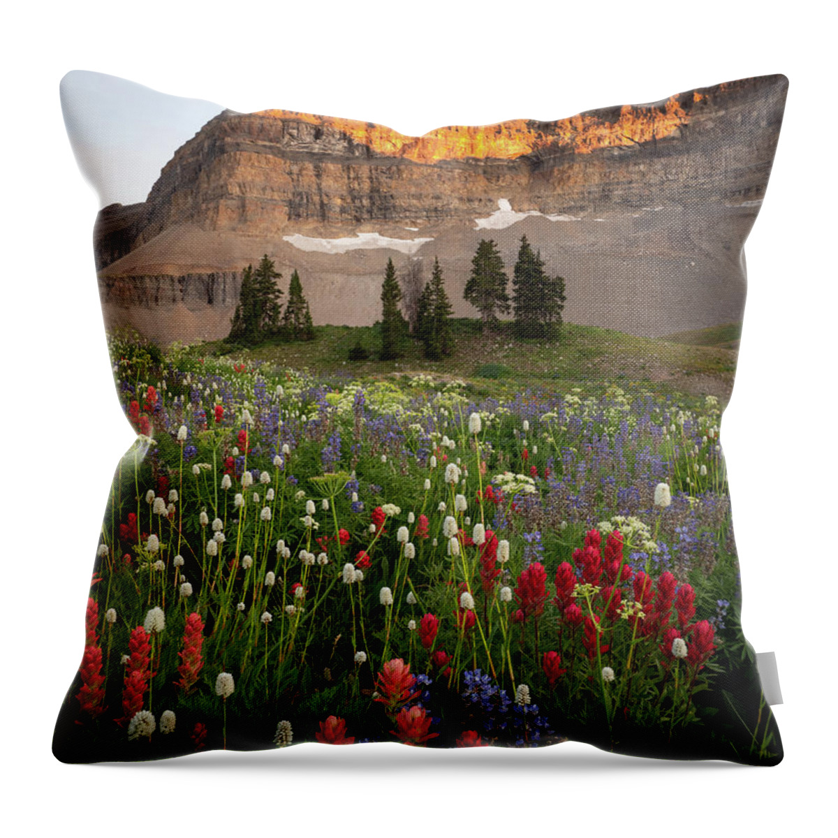 Timp Throw Pillow featuring the photograph Timpanogos Bouquet by Emily Dickey