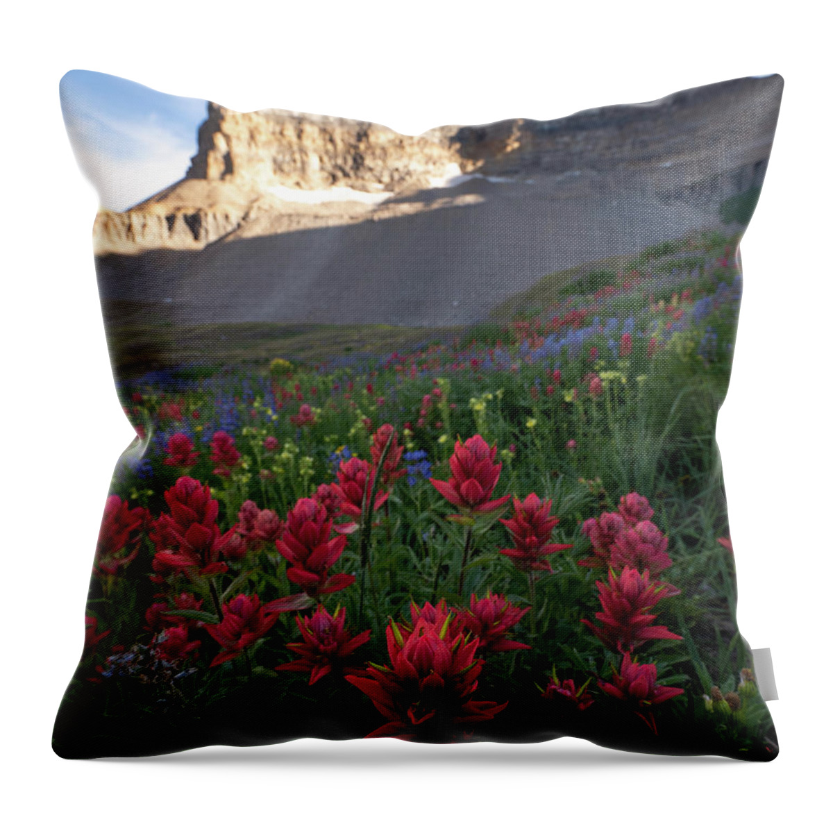Timp Throw Pillow featuring the photograph Timpanogos Paintbrush by Emily Dickey