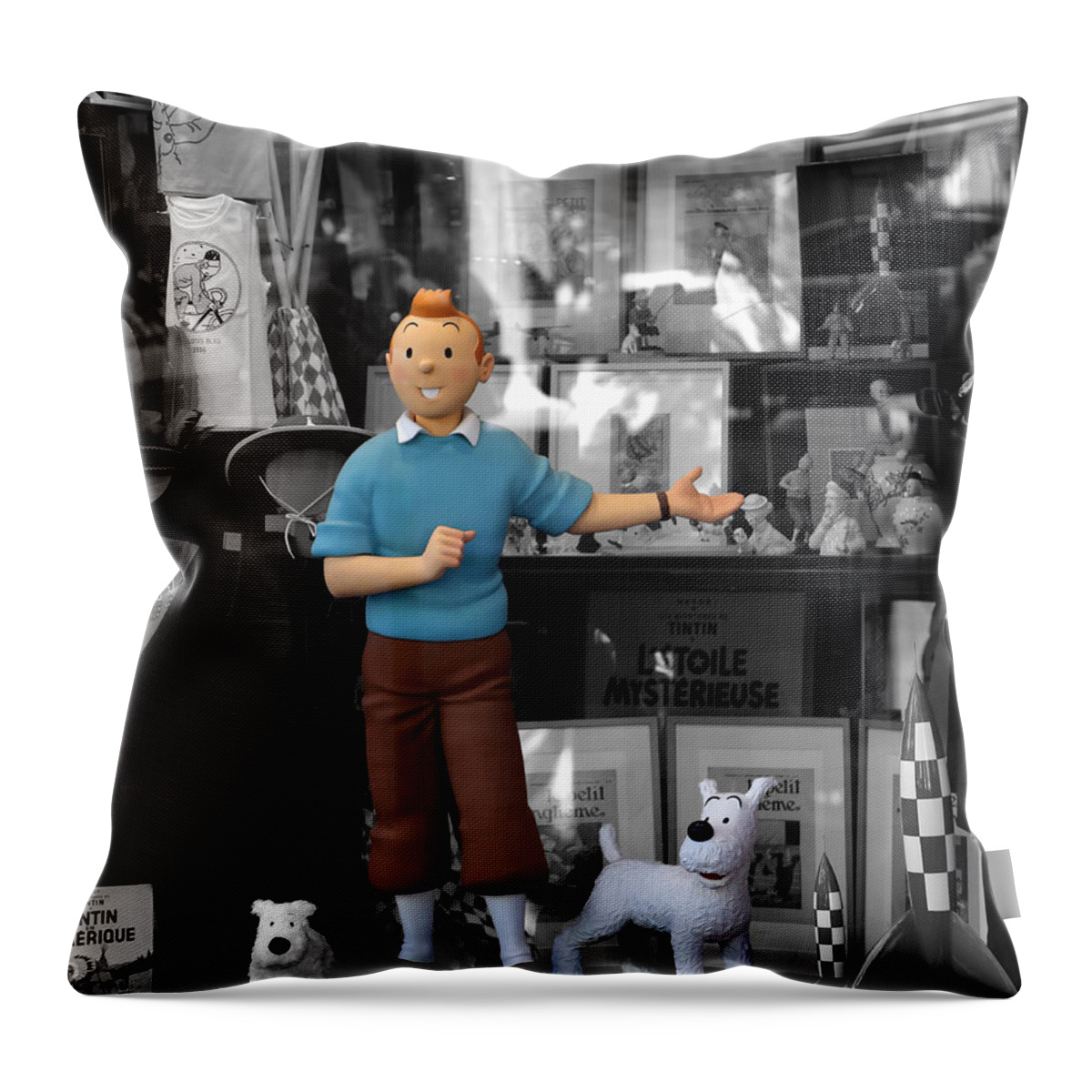 Tintin Throw Pillow featuring the photograph Tintin 1d by Andrew Fare