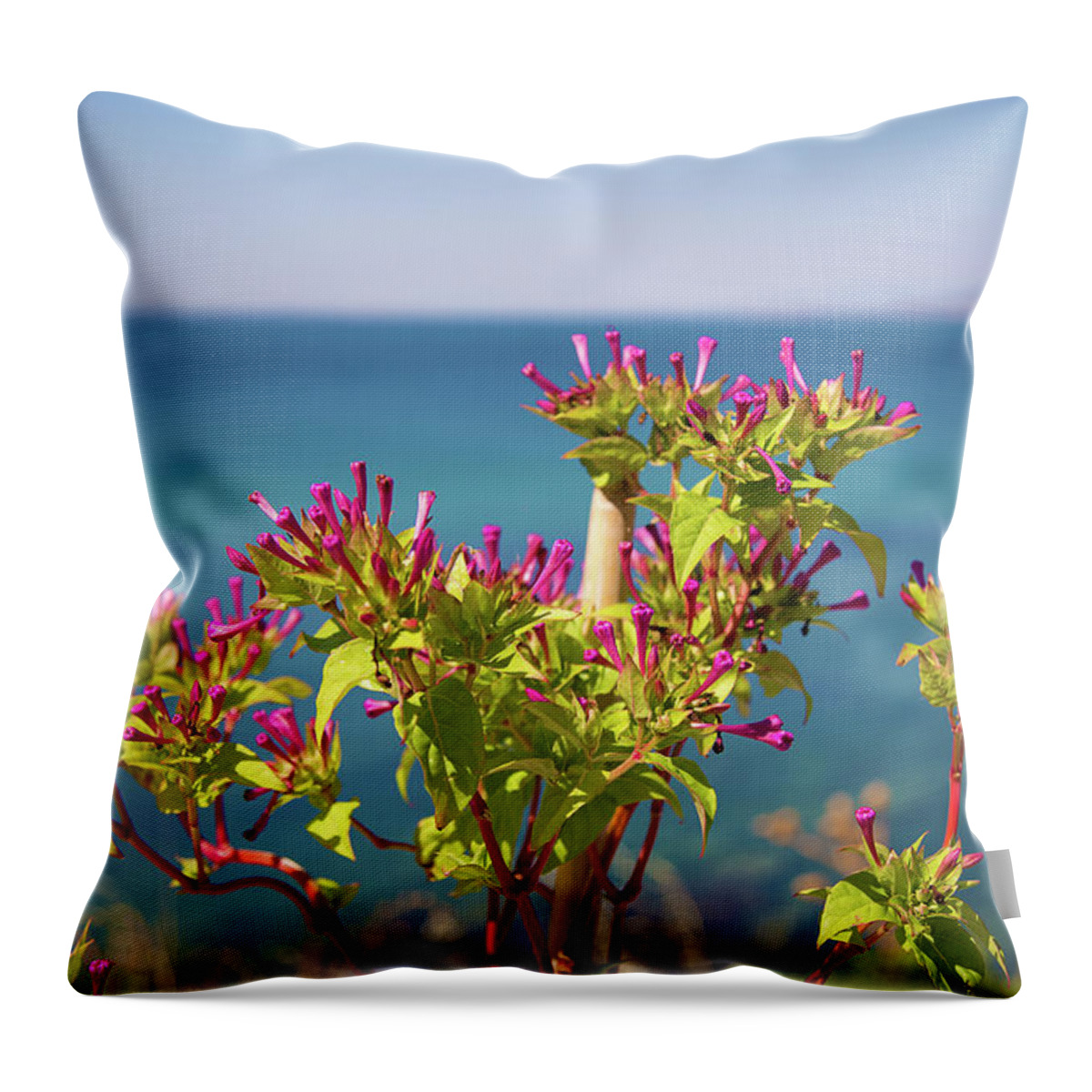 Floral Beauties Throw Pillow featuring the photograph Tiny Beauties by Milena Ilieva