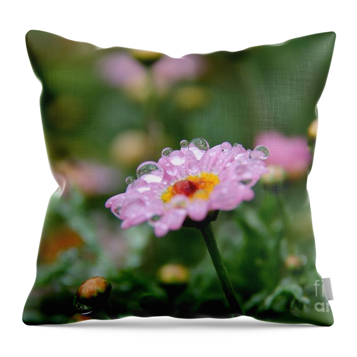 Droplets Throw Pillow featuring the photograph Tiny Bubbles by Yumi Johnson