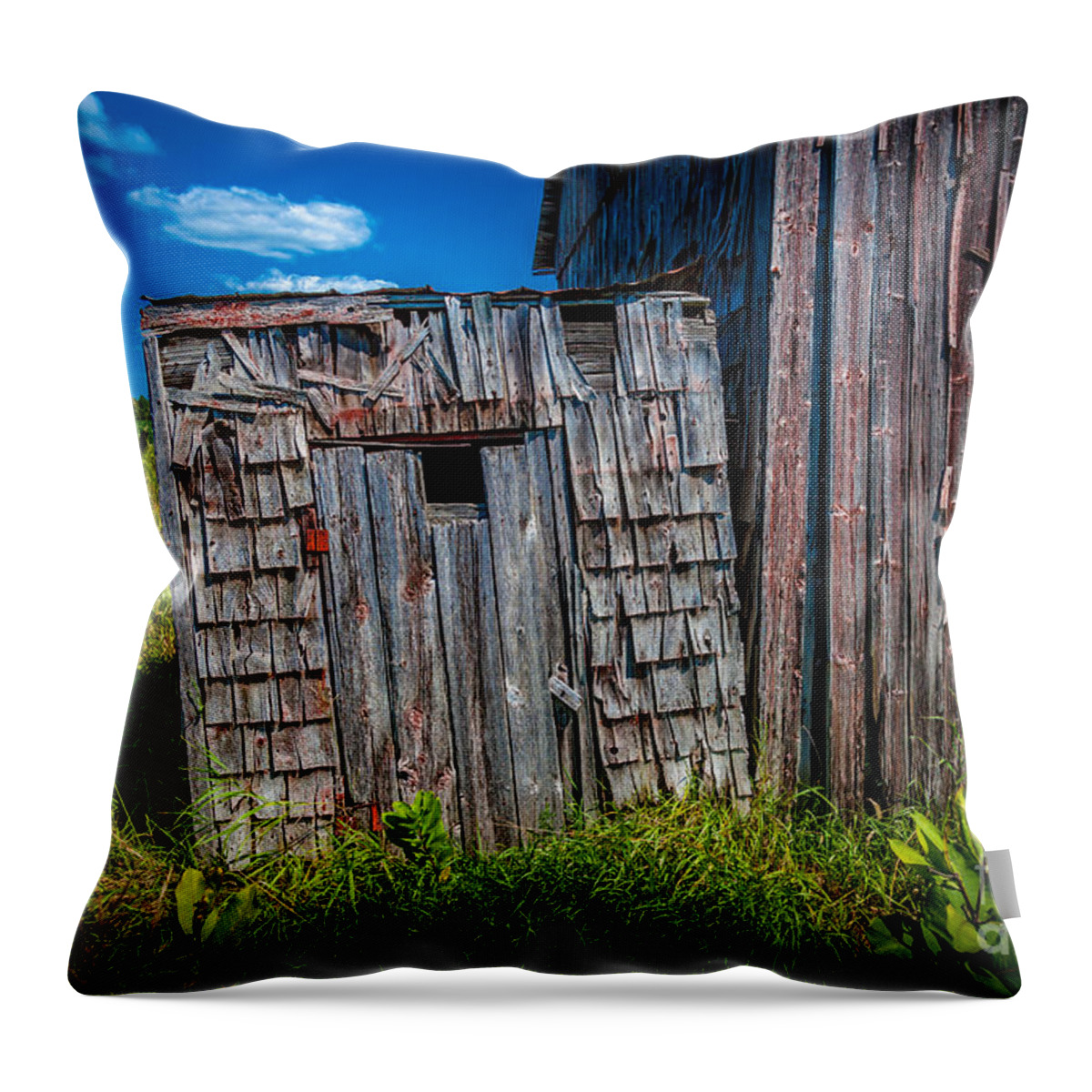 Abandoned Throw Pillow featuring the photograph Tiny Privy by Roger Monahan