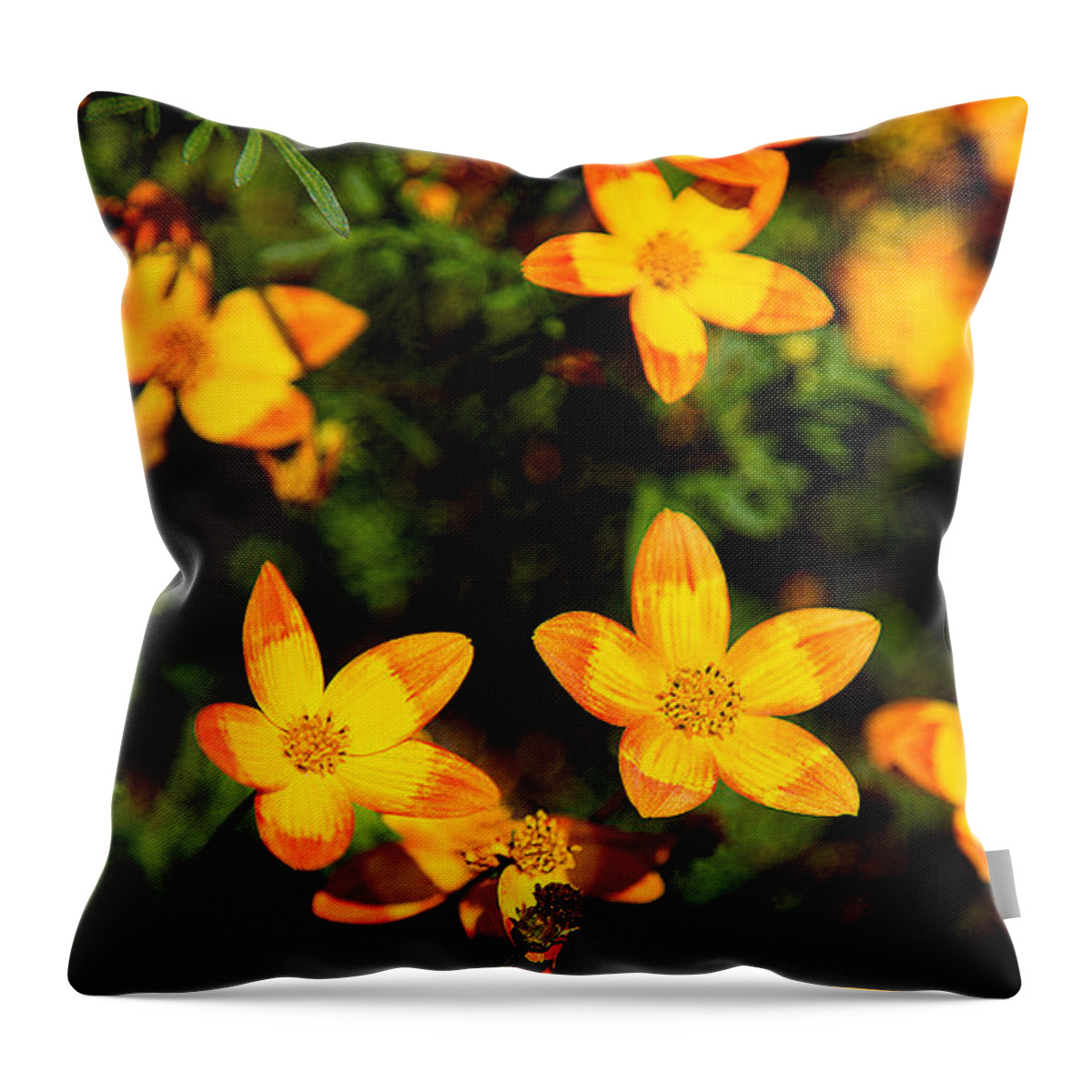 Yellow Flower Throw Pillow featuring the photograph Tiny Suns by Milena Ilieva