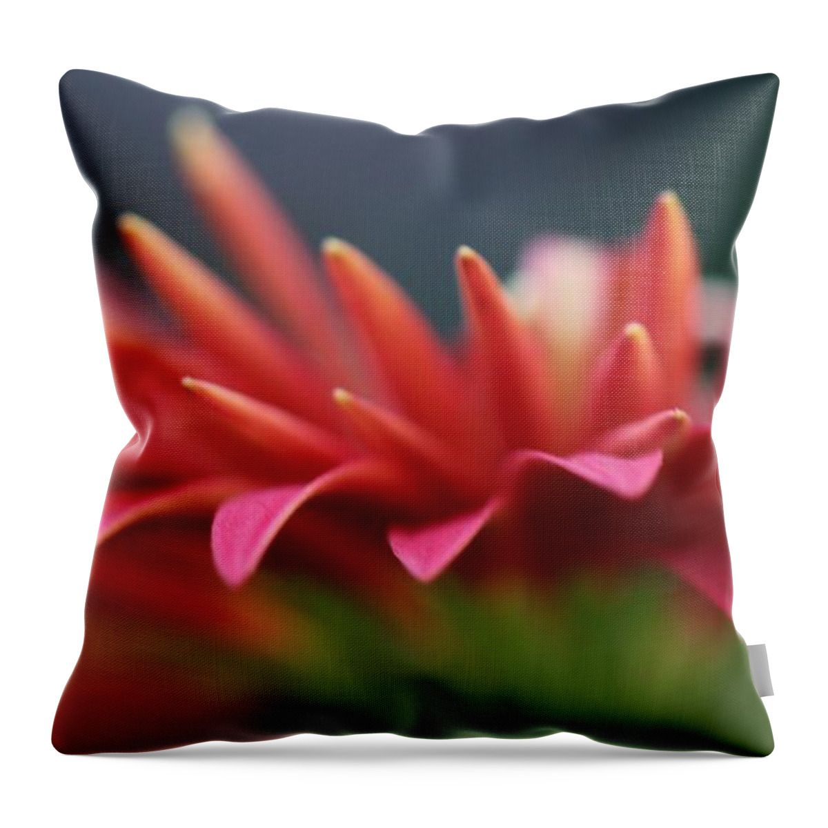 Macro Throw Pillow featuring the photograph Tip of the flower petals by Yumi Johnson