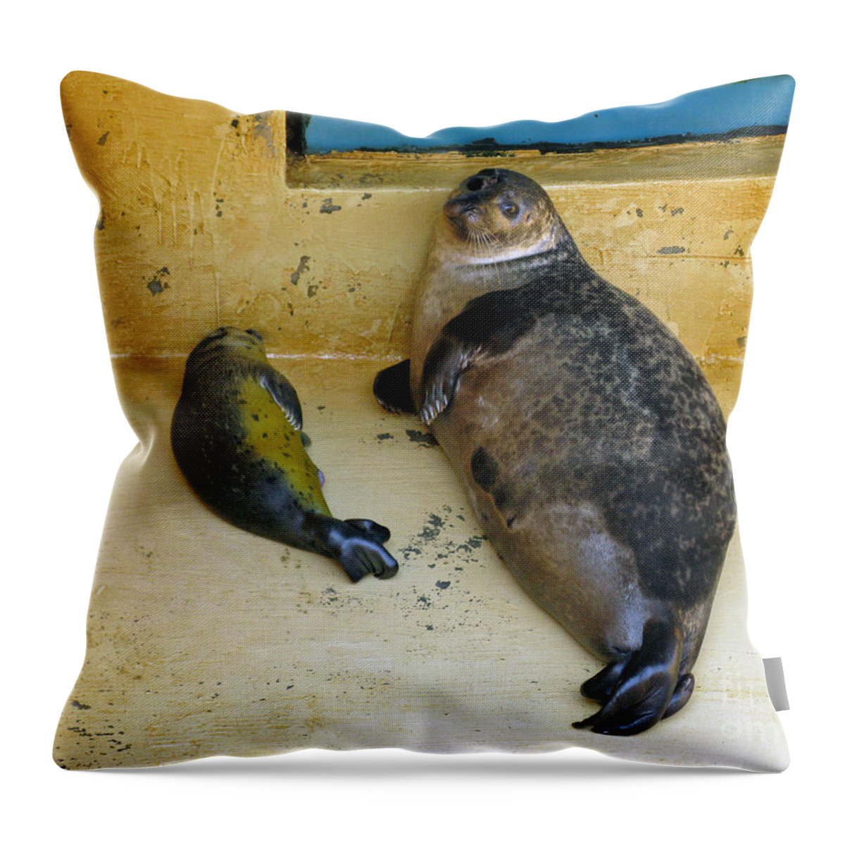 Seals Throw Pillow featuring the photograph Tired of Tourists. No Flash Photography Please. by Ausra Huntington nee Paulauskaite