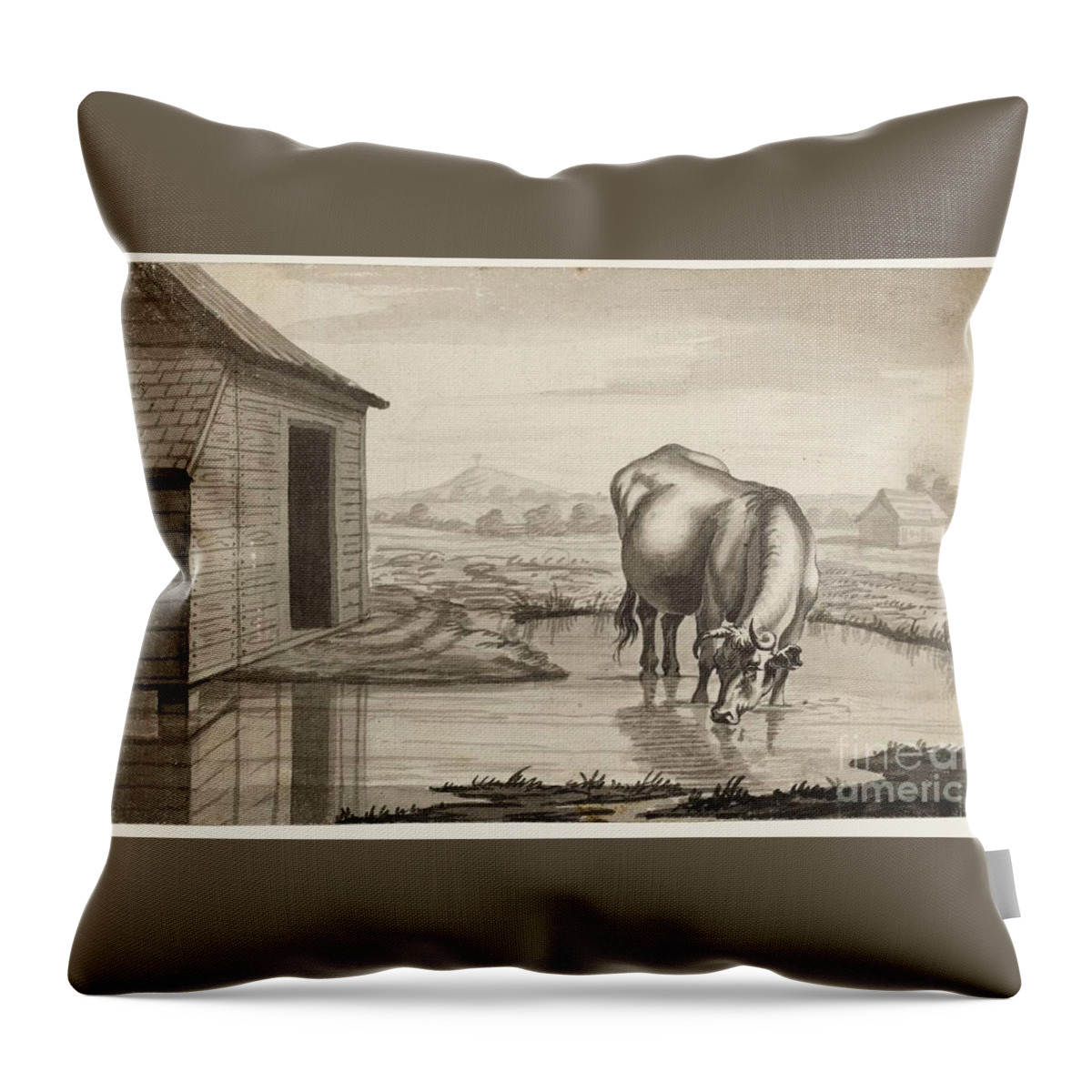 Susanna Duncombe (n�e Susanna Highmore) 1725�1812 Title A Cow Standing In A Pool Beside A Shed Throw Pillow featuring the painting Title A Cow Standing in a Pool beside by MotionAge Designs