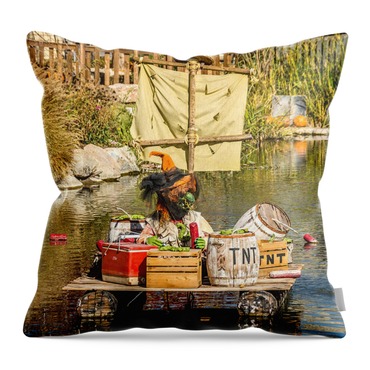 Halloween Throw Pillow featuring the photograph TNT Witch by Sue Smith