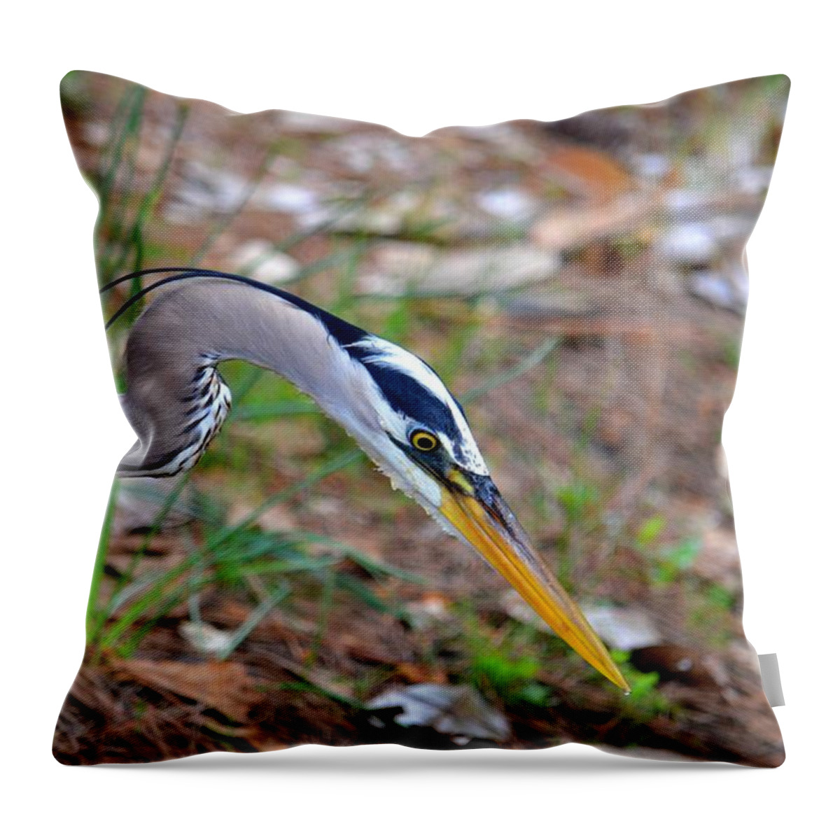 To Catch A Fish Throw Pillow featuring the photograph To Catch a Fish by Maria Urso