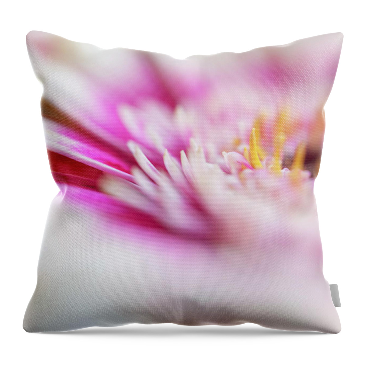 Jenny Rainbow Fine Art Photography Throw Pillow featuring the photograph To Live in Dream 1. Macro Gerbera by Jenny Rainbow