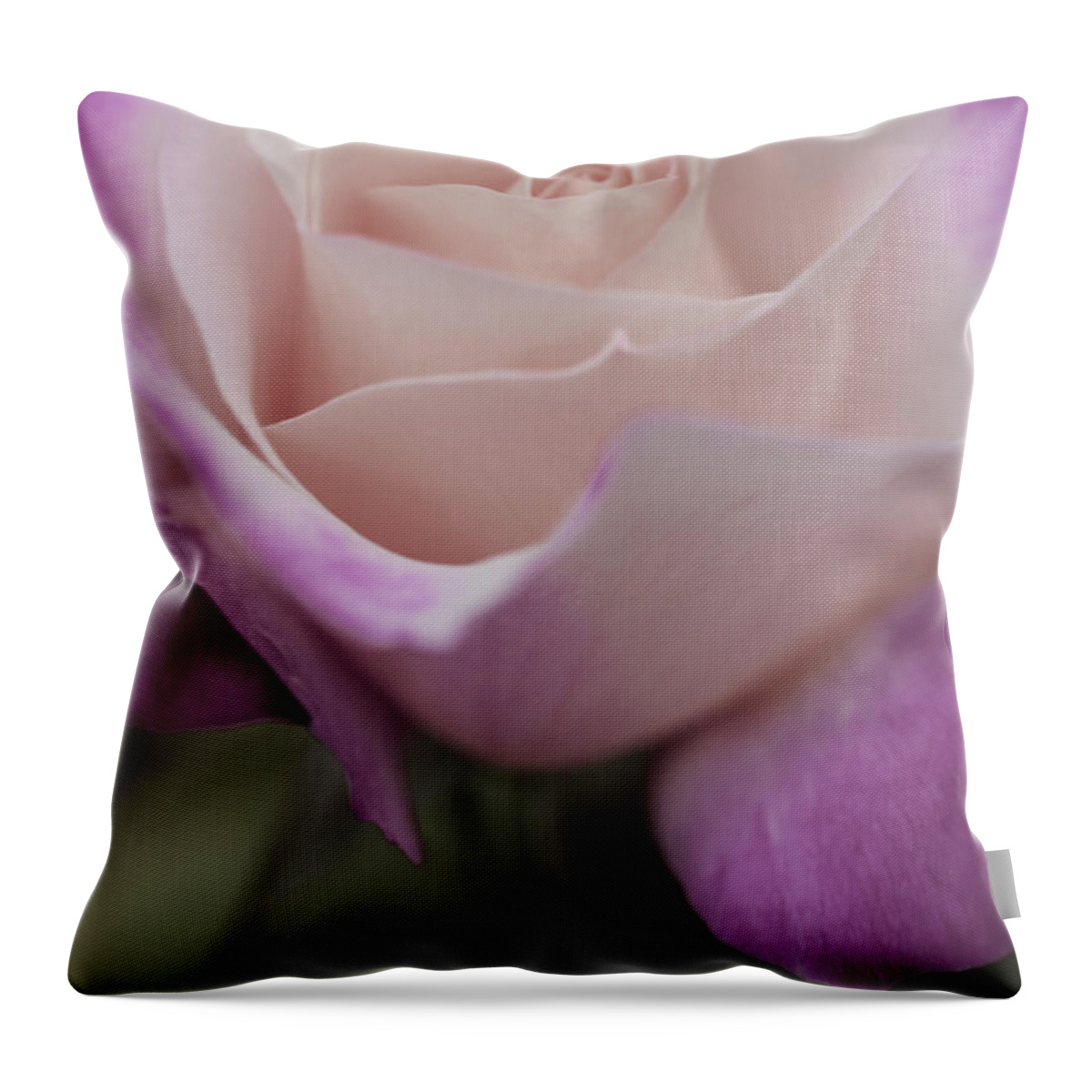 Beautiful Rose Art Throw Pillow featuring the photograph To Love... by The Art Of Marilyn Ridoutt-Greene