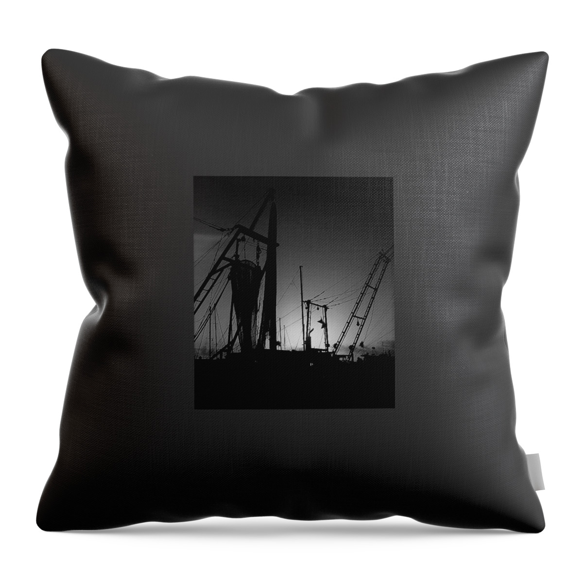 Sprimp Throw Pillow featuring the photograph To The Sea We Go by John Glass
