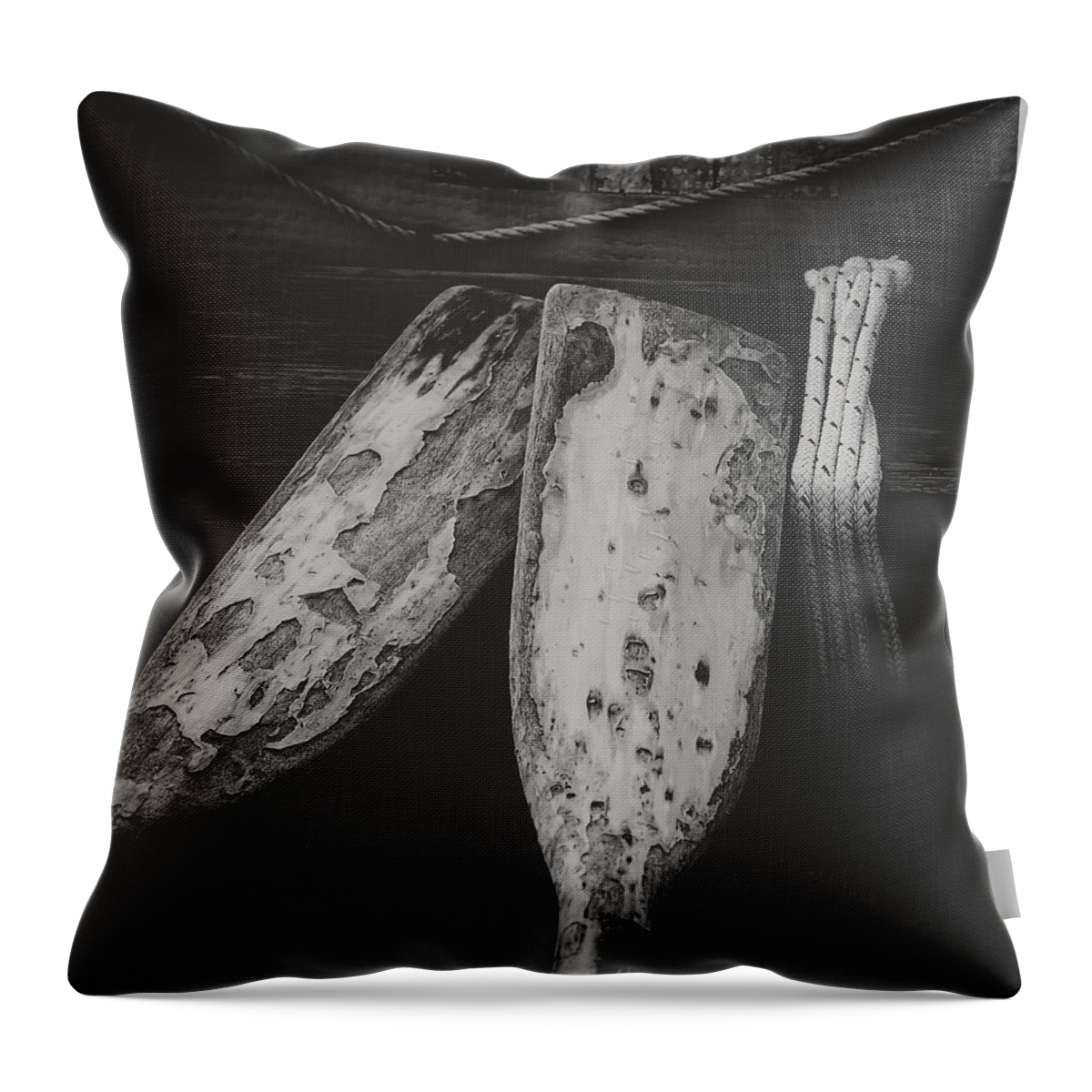 Oars Throw Pillow featuring the photograph Together All These Years by David Kay