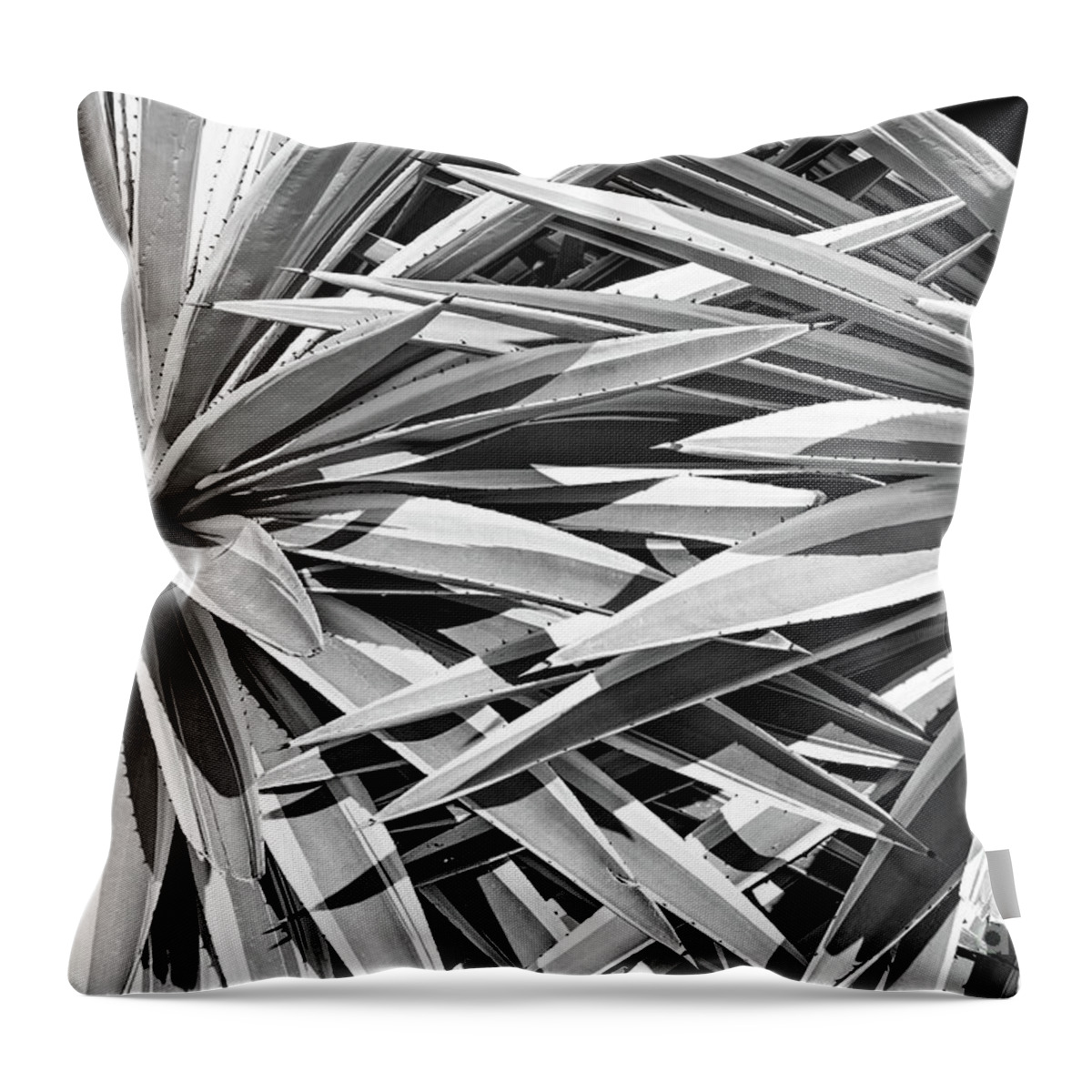 Landscape Throw Pillow featuring the photograph Together by Jim Rossol