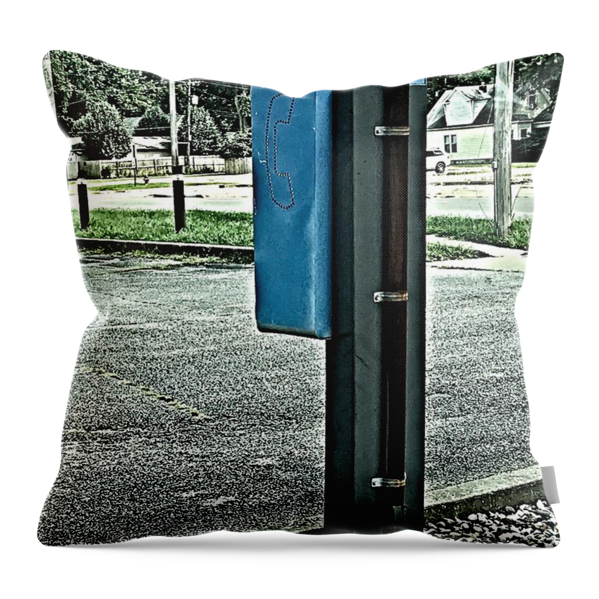 Modern Throw Pillow featuring the photograph Together We Stand by Jeff Iverson