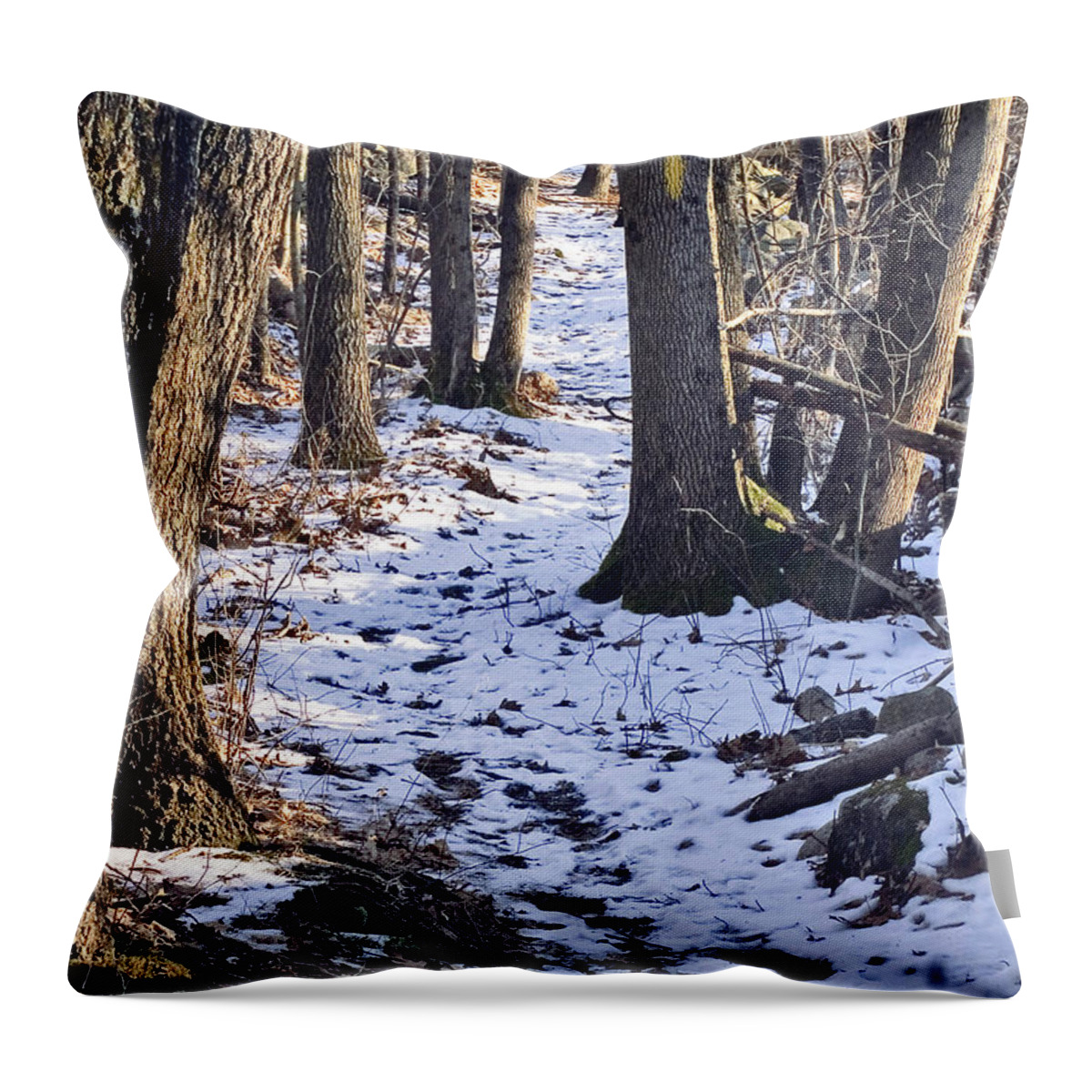 Trail Throw Pillow featuring the photograph Tom Paul Trail Winter by Frank Winters