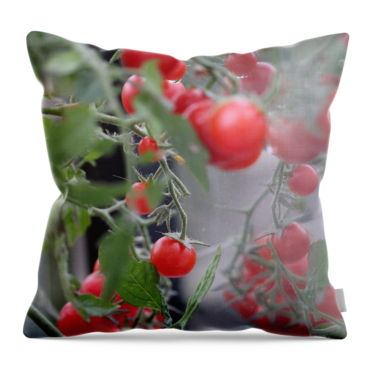 Tomatoes Throw Pillow featuring the digital art Tomatoes by Donna L Munro