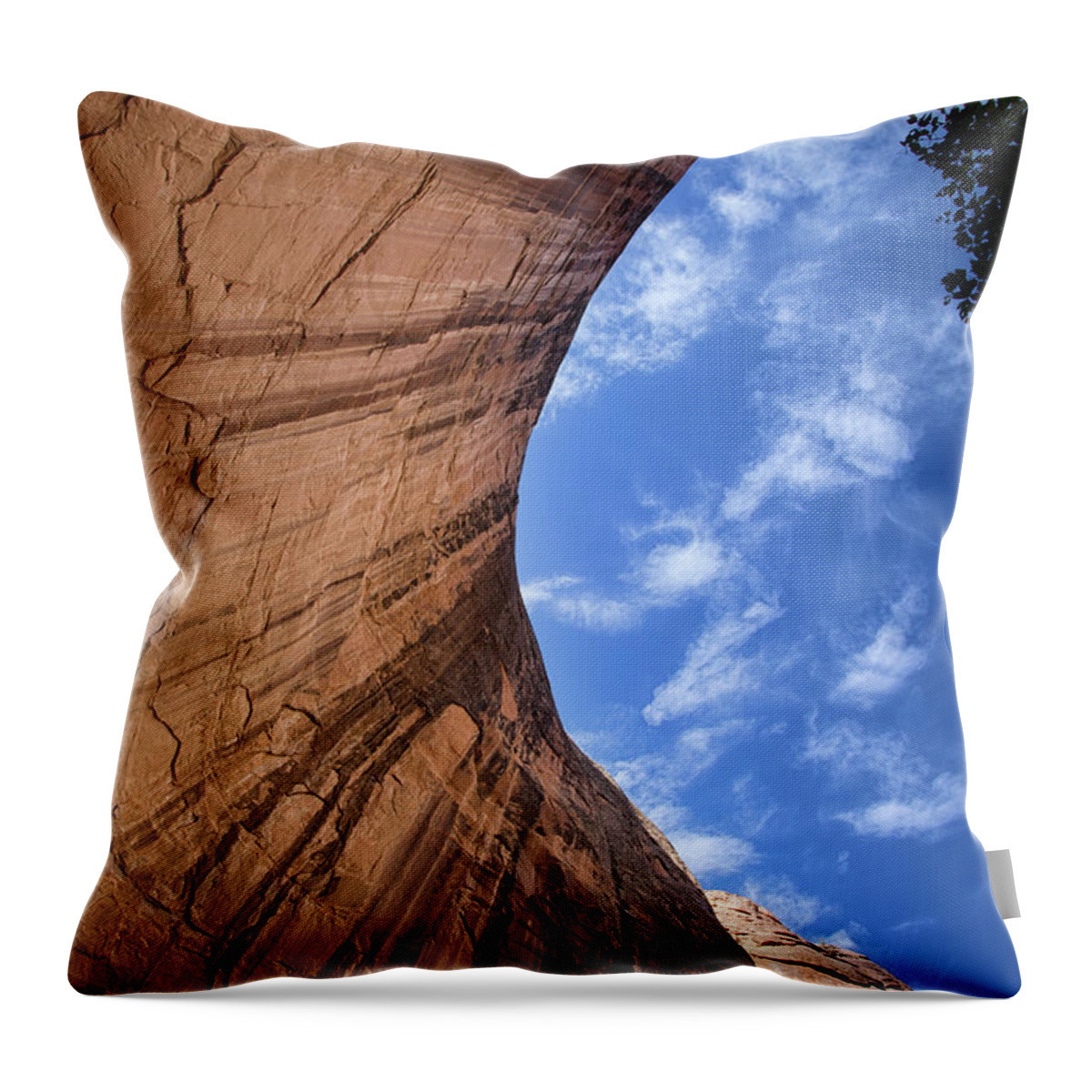 Coyote Gulch Throw Pillow featuring the photograph Tones of solitude by Kunal Mehra