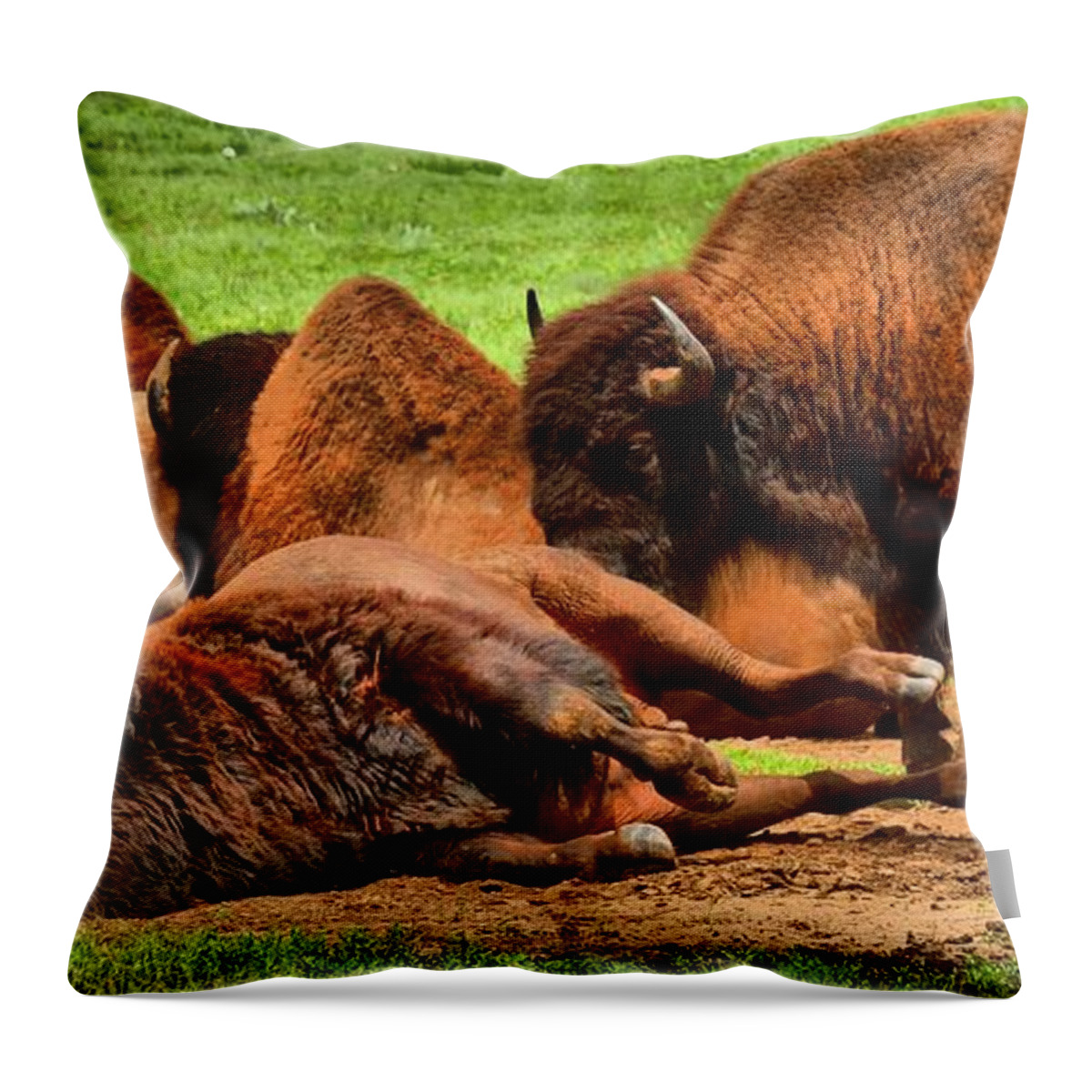 Bison Throw Pillow featuring the photograph Too Much Grass by Adam Jewell