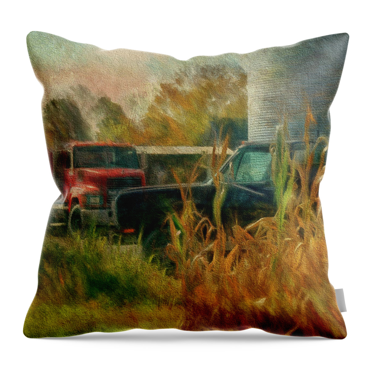 Truck Throw Pillow featuring the photograph Tools Of The Trade by Lois Bryan