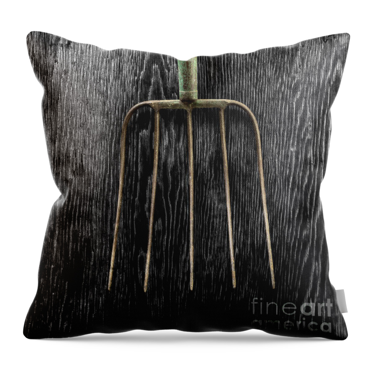 Art Throw Pillow featuring the photograph Tools On Wood 7 on BW by YoPedro