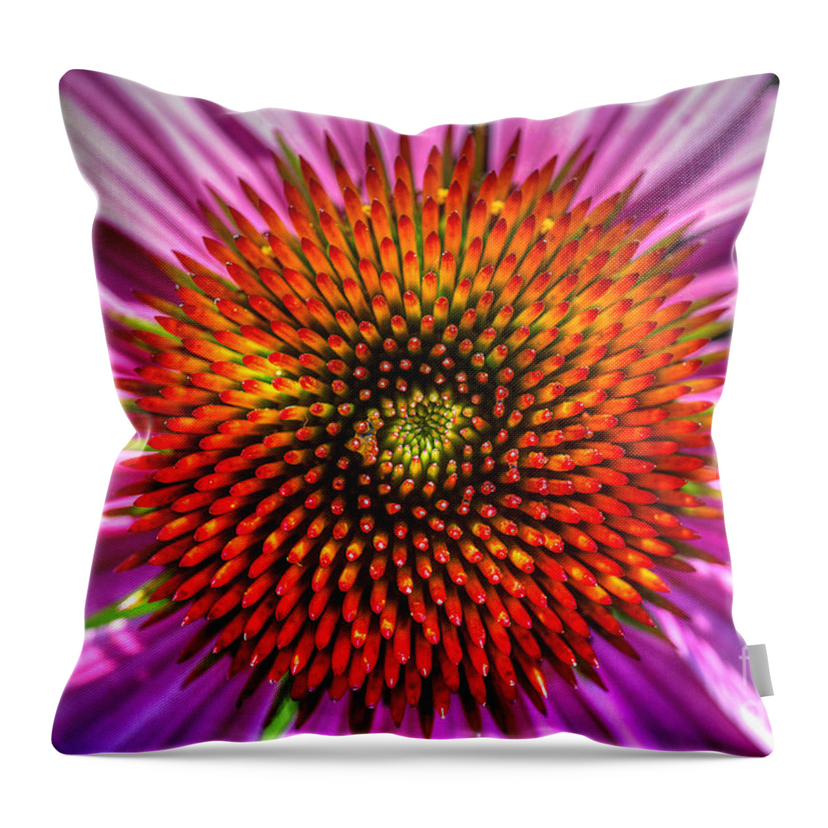 Pink Coneflower Throw Pillow featuring the photograph Top Of The Coneflower by Michael Eingle