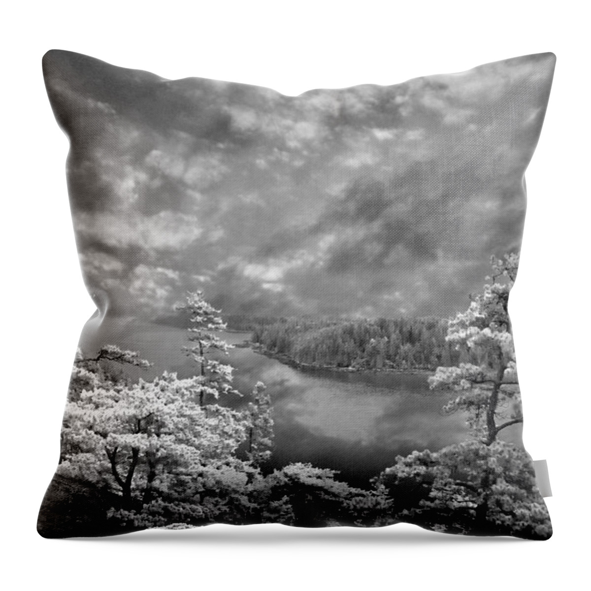 Top Of Tip Toe Mountain Throw Pillow featuring the photograph Top of Tip Toe Mountain, Vinalhaven, Maine by Michele A Loftus