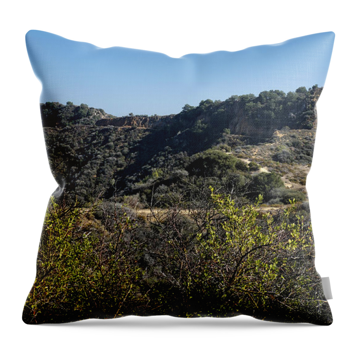 Trail Throw Pillow featuring the photograph Topanga Canyon Trail by George Taylor
