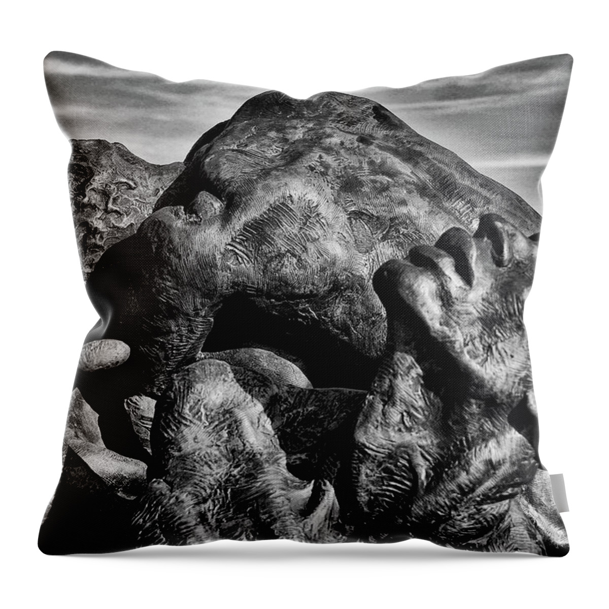 Torment Throw Pillow featuring the photograph Torment In Black And White by James DeFazio