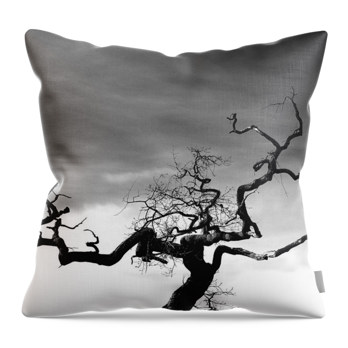 Tormented In Grey Throw Pillow featuring the photograph Tormented In Grey by Paul Davenport