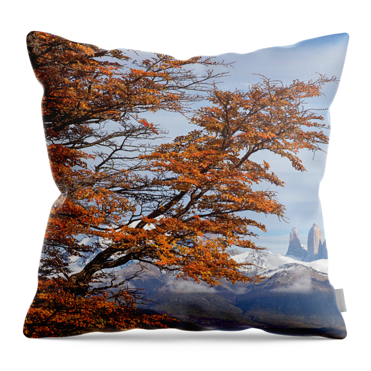Mountains Throw Pillow featuring the photograph Torres del Paine in Fall by Max Waugh