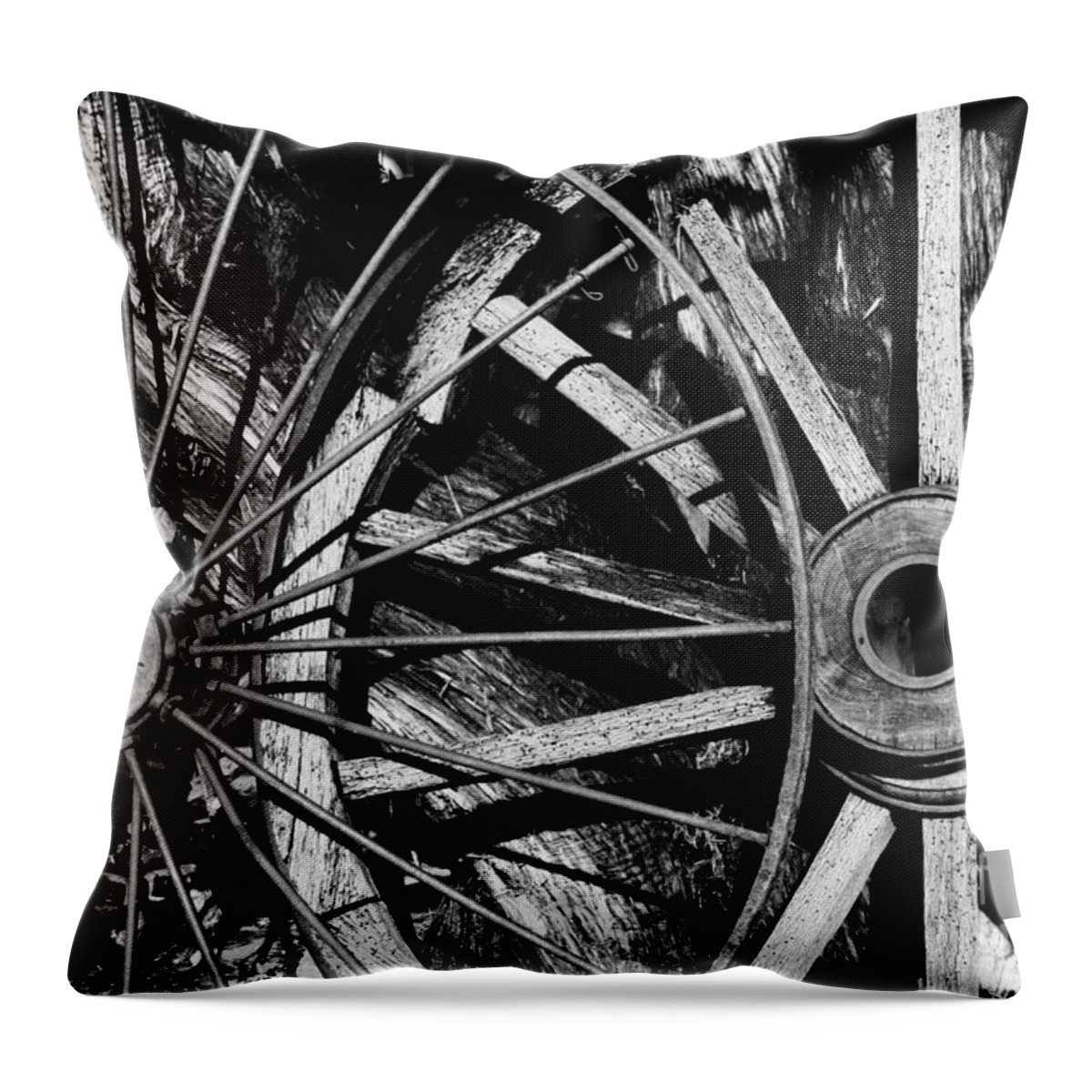 Antique Throw Pillow featuring the photograph Totally Spoked by Phil Cappiali Jr