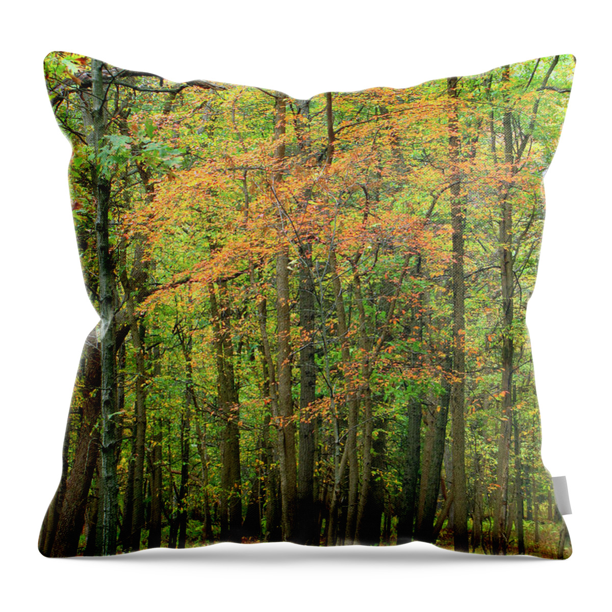Landscape Throw Pillow featuring the photograph Touch Of Autumn by Cedric Hampton