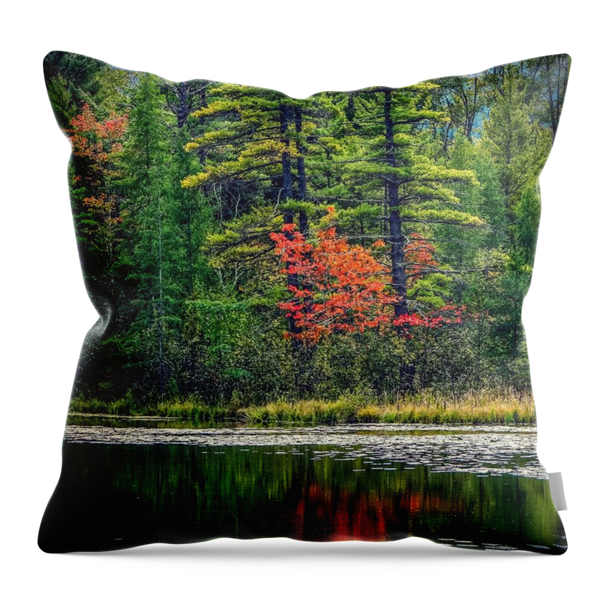  Throw Pillow featuring the photograph Touch of color by Kendall McKernon