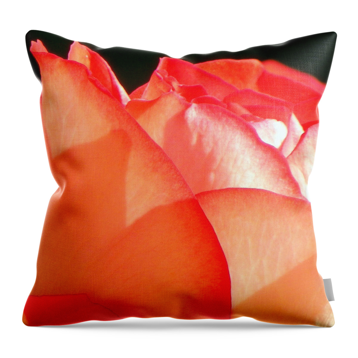 Flowers Throw Pillow featuring the photograph Touch of Rose by Karen Wiles